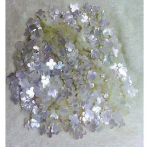 Mother of pearl shell  jewelry material